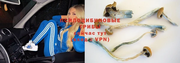бошки Богданович