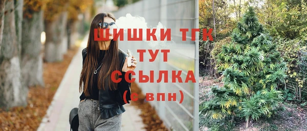бошки Богданович