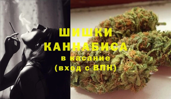 бошки Богданович
