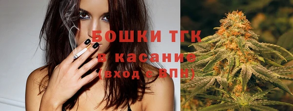 ГАЛЛЮЦИНОГЕННЫЕ ГРИБЫ Богородицк