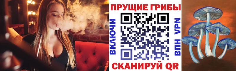 Галлюциногенные грибы MAGIC MUSHROOMS  Чёрмоз 